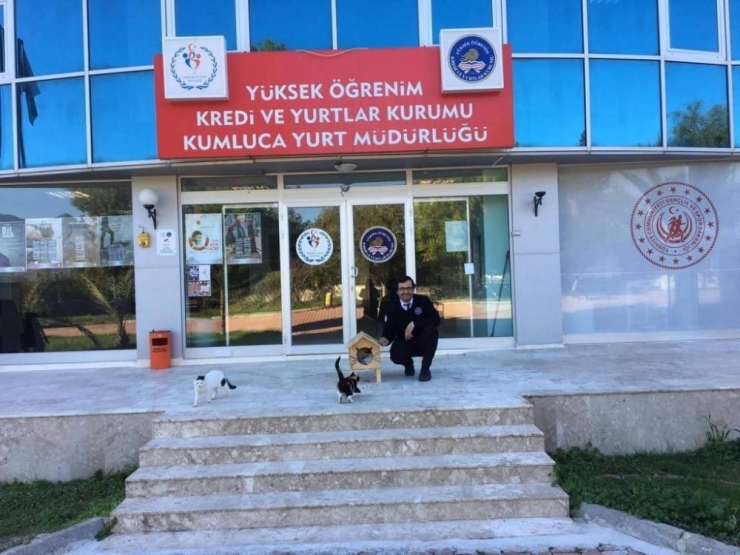 Öğrenciler Kedilere Sıcak Yuva Yaptı