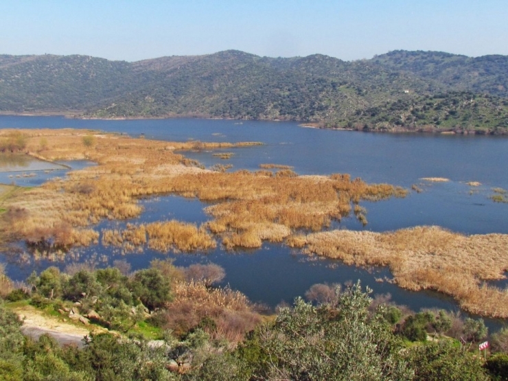 Mahalli Sulak Alan Ve İl Av Komisyonu Toplantıları Yapıldı