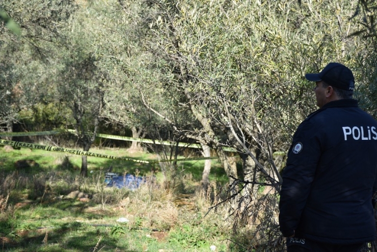 Eski Başkanın Kuzeni Tarlada Ölü Bulundu