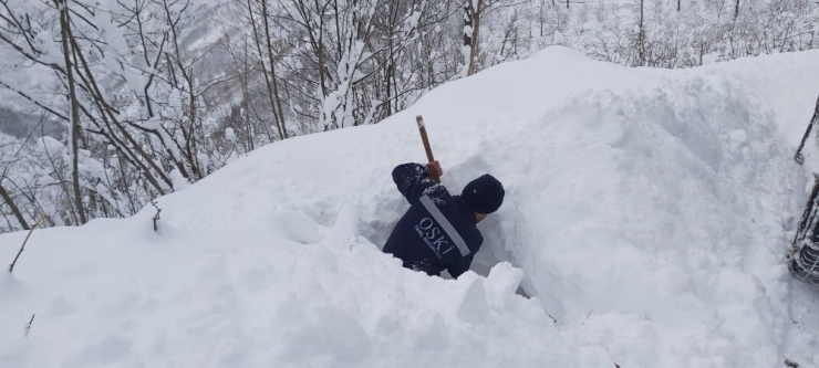 Ordu’da Donan Şebekelere Müdahale
