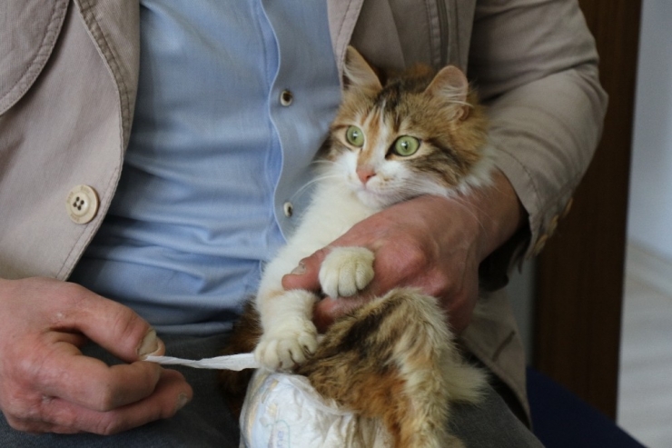 Sakat Kalan Kedisini Her Gün Bezleyip, Evladı Gibi Bakıyor