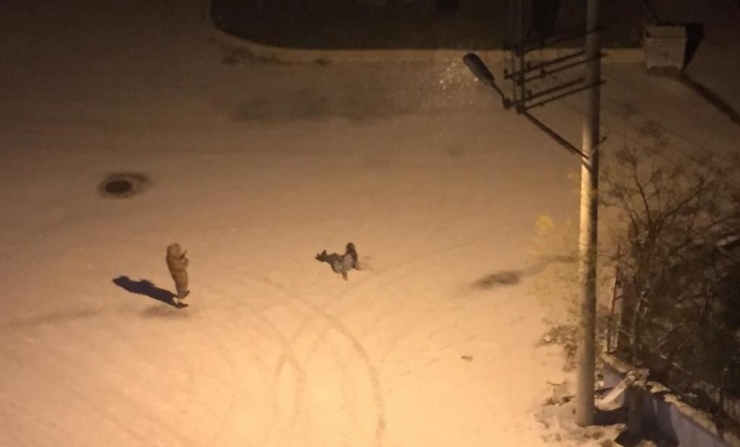 Şanlıurfa’da Kar Yağışı Etkili Oluyor