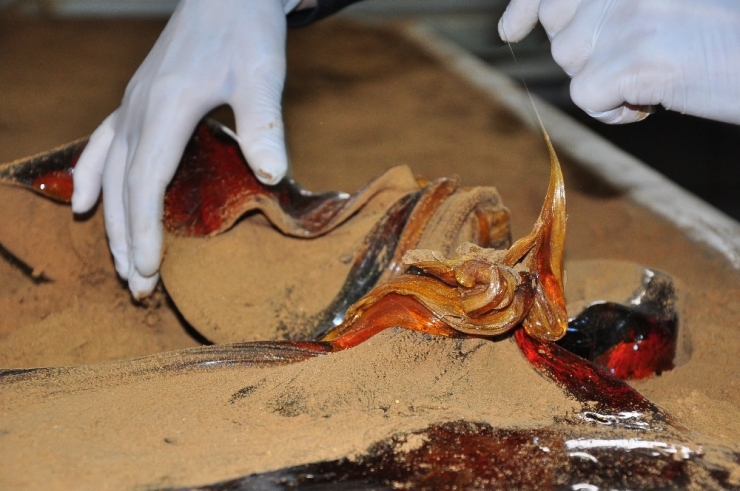 Kadınların 7 Tonluk ‘Şifa’ Mesaisi Başladı