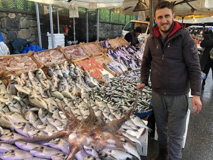 3 Metrelik Ahtapot İlgi Odağı Oldu