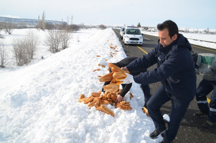 Bünyan Belediyesi Sokak Ve Yaban Hayvanlarını Unutmuyor