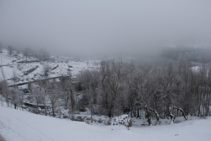 Diyarbakır’da Kar Esareti Sürüyor
