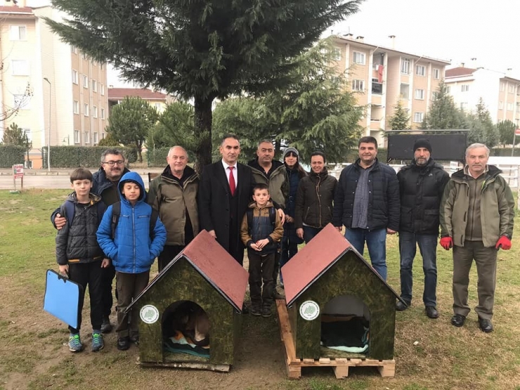 Düzce’de Kurumların Desteği İle Sokak Hayvanları Sıcak Yuvaya Kavuştu