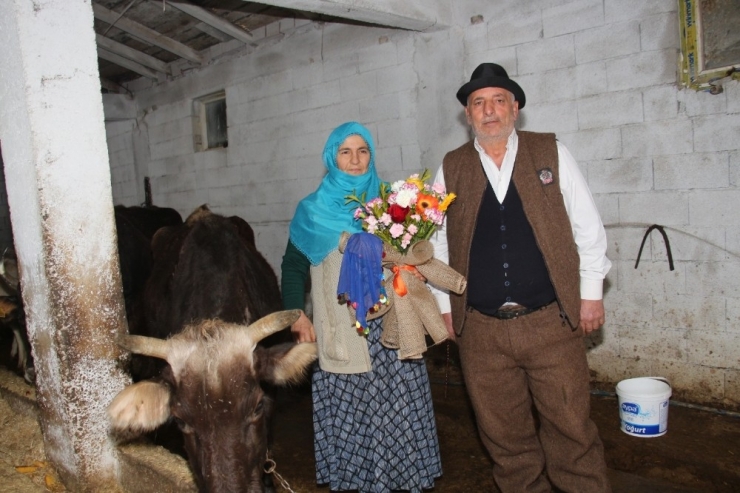 42 Yıllık Eşine Ahırda Sevgililer Günü Sürprizi