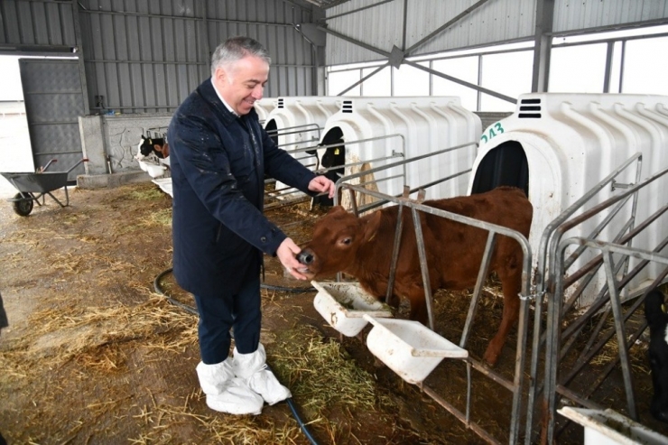 Şahin, "Sektörün Lokomotif İşletmelerinin Her Zaman Yanındayız"