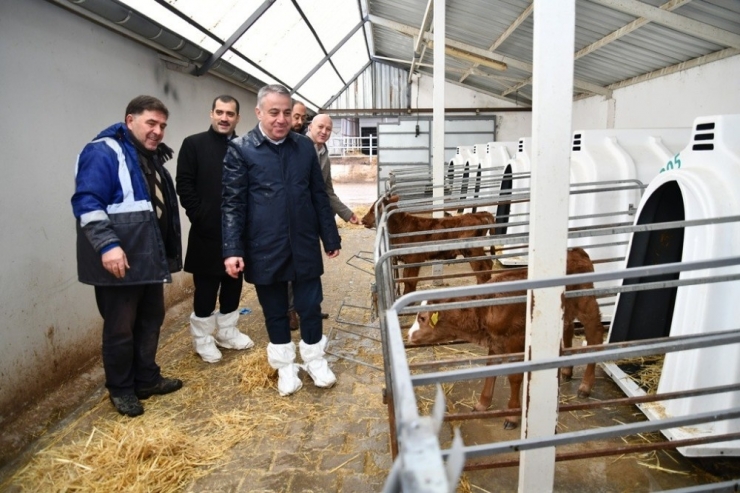 Şahin, "Sektörün Lokomotif İşletmelerinin Her Zaman Yanındayız"