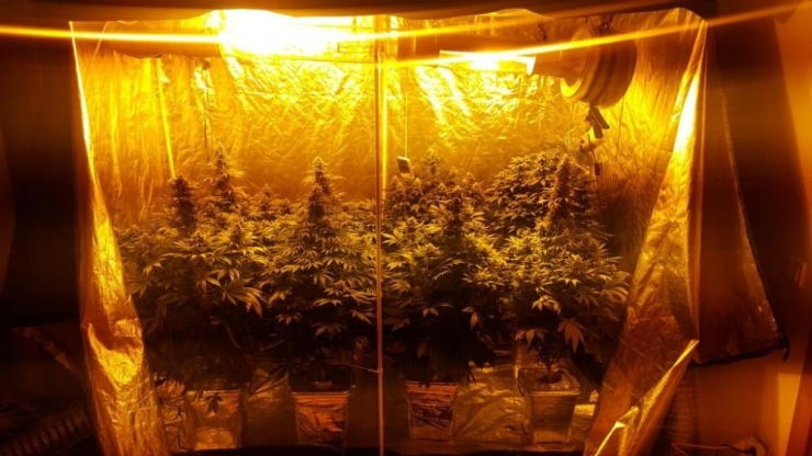 Kartal’da Evi Uyuşturucu Tarlasına Çeviren Şahıslara Operasyon