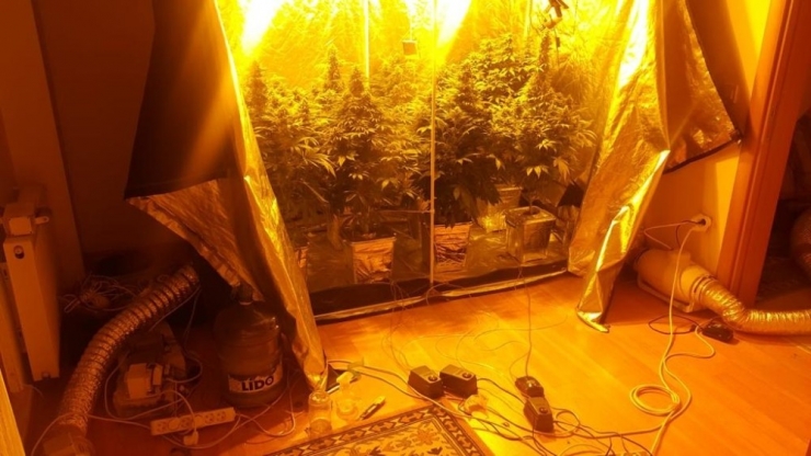 Kartal’da Evi Uyuşturucu Tarlasına Çeviren Şahıslara Operasyon