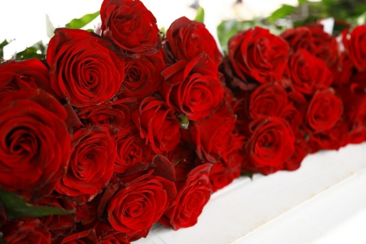 Sevgililer Gününde 5 Bin Çicek Dağıtıldı