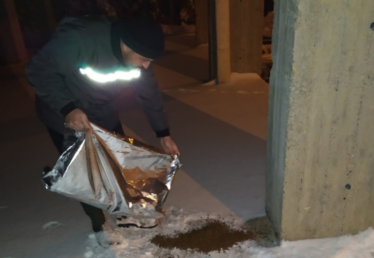 Mardin Büyükşehir Belediyesi Karlı Havada Sokak Hayvanlarını Unutmadı