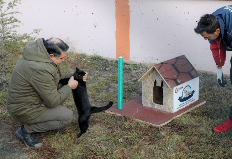 Sincan’da Okul Bahçesi Hayvanlarla Renklendi
