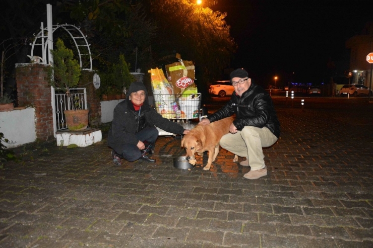 Bisikletiyle Sokak Sokak Dolaşıp Kedi Ve Köpekleri Besliyor