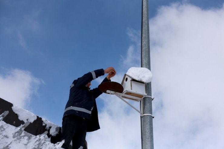 Gürpınar Belediyesi Sokak Hayvanlarını Unutmadı