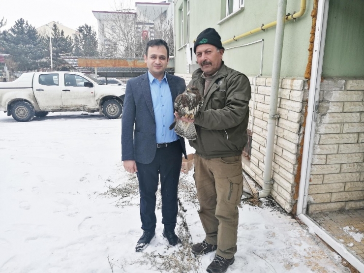 Yaralı Doğana İlçe Tarım Sahip Çıktı