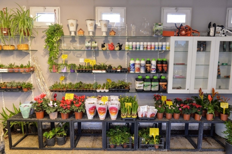 Ankara’da Yerli Bitki Üreticileri Kazanacak