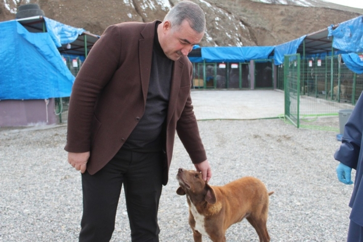 Başkan Turanlı: “Hayvanlar, Allah’ın Bize Emanetleridir”