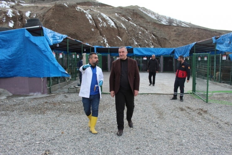 Başkan Turanlı: “Hayvanlar, Allah’ın Bize Emanetleridir”