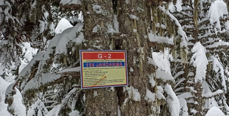 Bu Levhalar Hayat Kurtarıyor