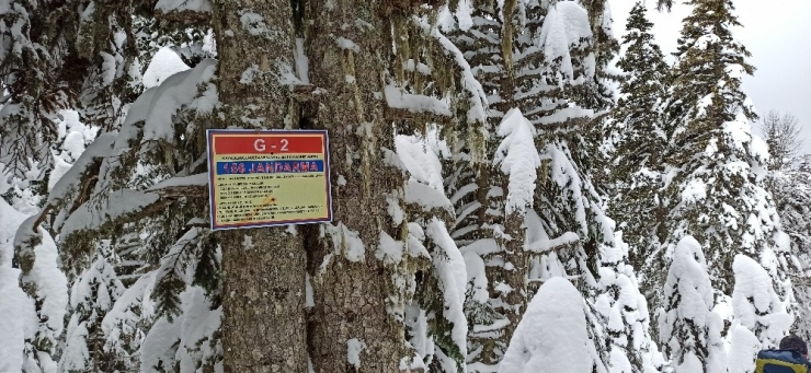 Bu Levhalar Hayat Kurtarıyor