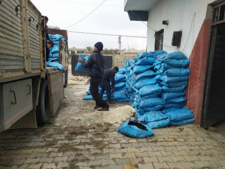 Büyükşehir Zabıta, 22 Ton Kaçak Kömür Ele Geçirdi