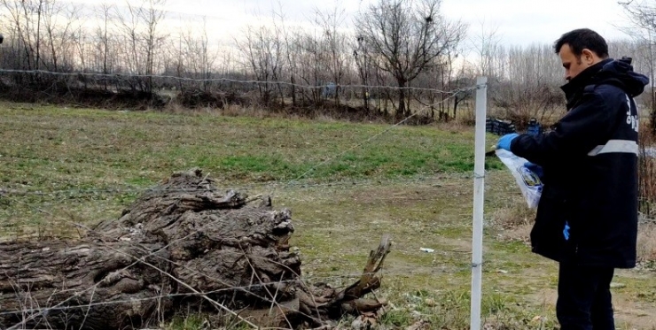 Can Çekişen Arkadaşlarını Bırakıp Kaçtılar