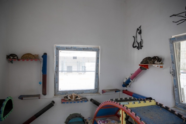 Çorumlu "30 Kardeş" Mersinli Oldu