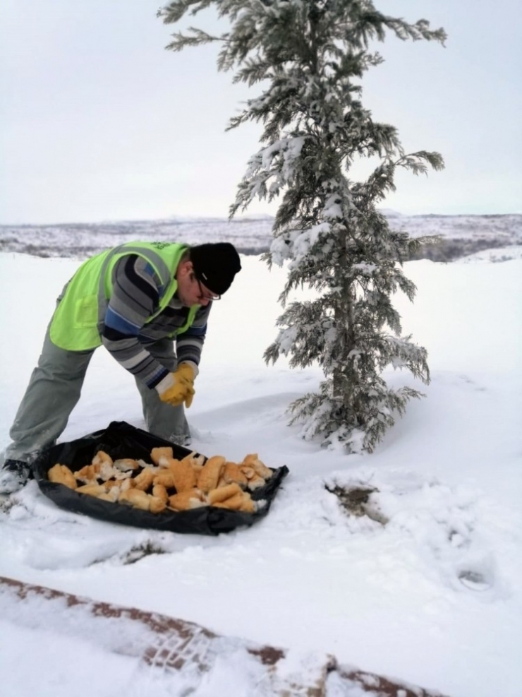 Nevşehir’de Sokak Hayvanları Unutulmadı