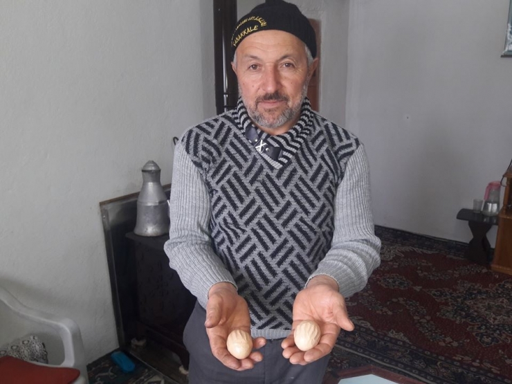 Bu Tavuk ’Allah’ Yazan Yumurtalar Yumurtluyor