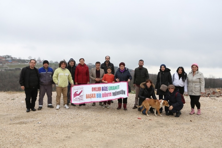 Sokak Hayvanlarını Beslediler