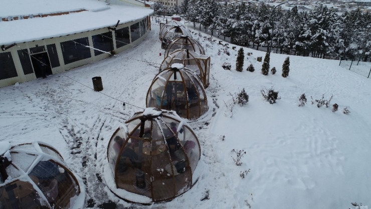 Dondurucu Soğuğa Karşı Cam Fanuslu Çözüm