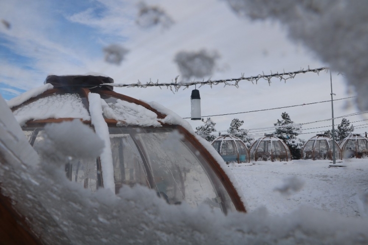 Dondurucu Soğuğa Karşı Cam Fanuslu Çözüm
