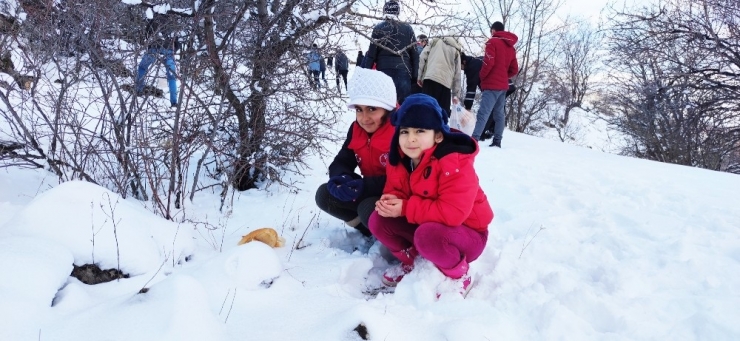 Tunceli’de Yaban Hayvanları İçin Doğaya Yem Bırakıldı