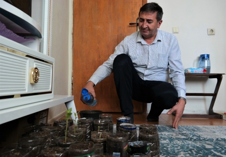 Eskişehirli ‘Toprak Dede’ Evinin İçinde Fidan Yetiştiriyor