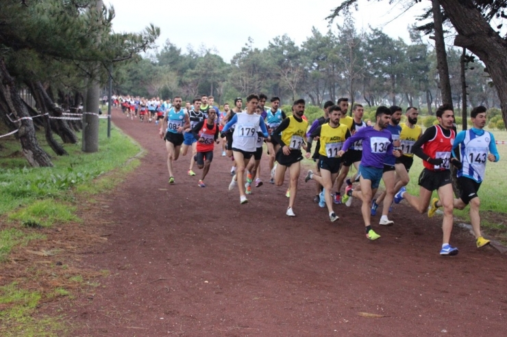 Üniversitelerarası Kros Şampiyonası Bandırma Düzenlendi