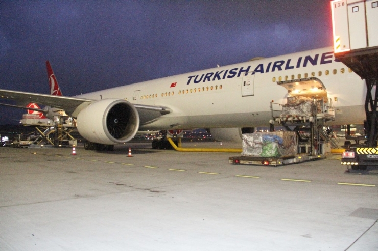 İki Tarihi Eser Türkiye’ye Yeniden Kazandırıldı