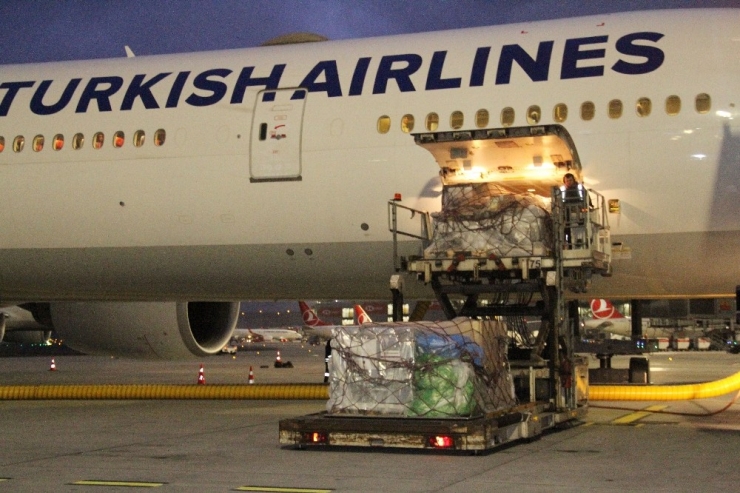 İki Tarihi Eser Türkiye’ye Yeniden Kazandırıldı