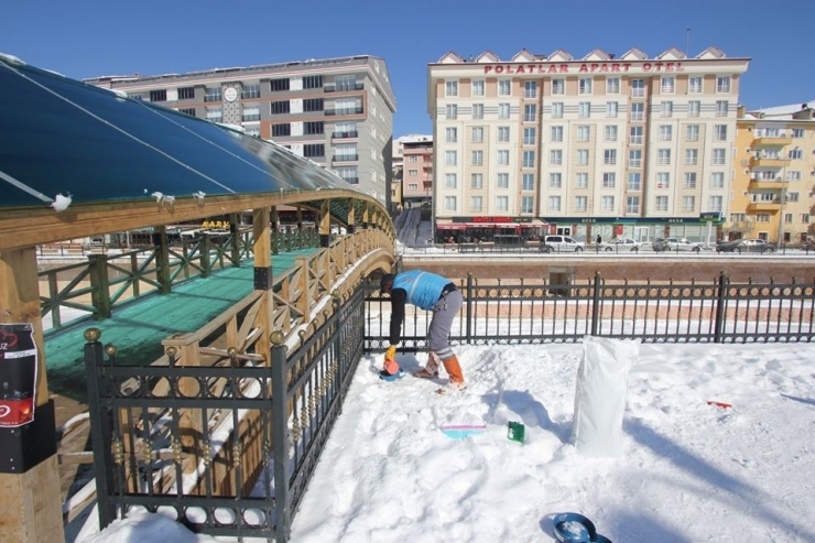 Bayburt Belediyesi Sokak Hayvanlarını Unutmuyor