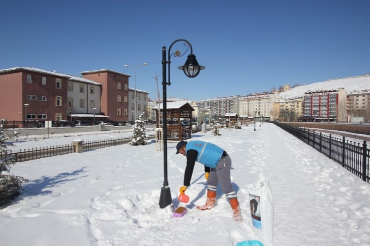 Bayburt Belediyesi Sokak Hayvanlarını Unutmuyor