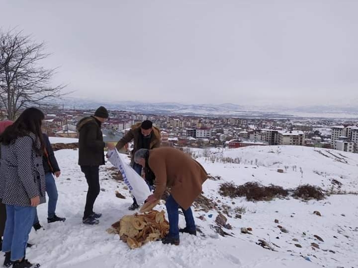 Bingöl’de Sokak Hayvanları Unutulmadı