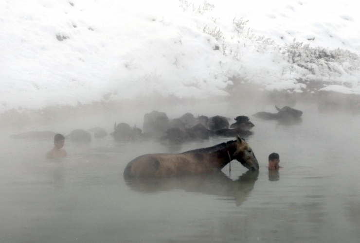 Mandaların Kaplıca Keyfi