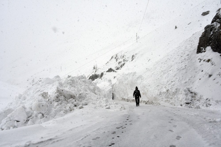Gümüşhane’de 7 Kez Çığ Düşen Köy Yolu Ulaşıma Açıldı