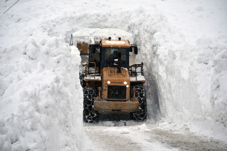 Gümüşhane’de 7 Kez Çığ Düşen Köy Yolu Ulaşıma Açıldı