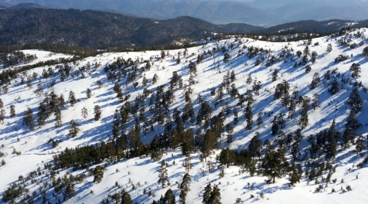 Kardüz Yaylası’nda Kar Kalınlığı 2.5 Metreye Ulaştı