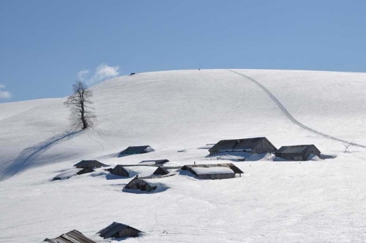 Kardüz Yaylası’nda Kar Kalınlığı 2.5 Metreye Ulaştı