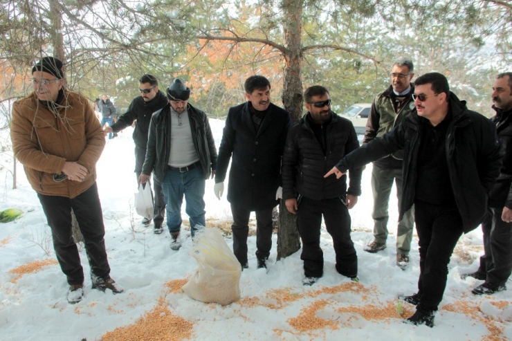 Erzincan’da Yaban Hayatına Yem Desteği