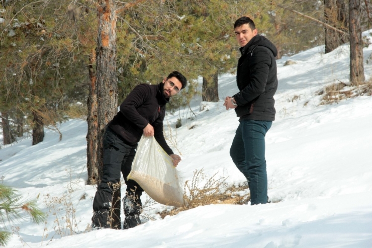 Erzincan’da Yaban Hayatına Yem Desteği